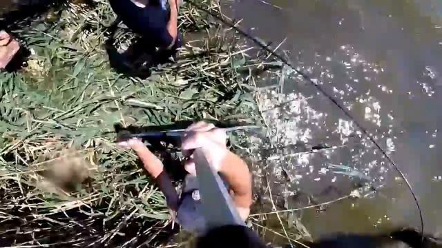 Хороший амур на селфи подсак смотреть онлайн