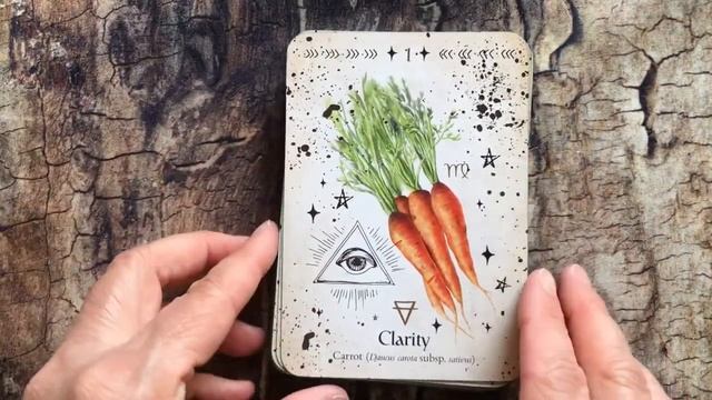 Green Witch Oracle (Walkthrough) смотреть онлайн