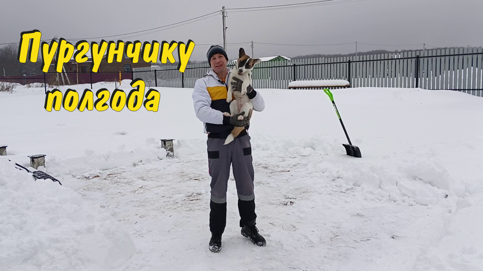 Пурге полгода. смотреть онлайн