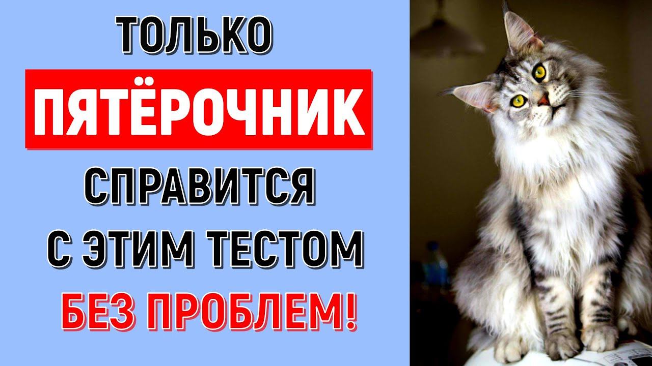 ТОЛЬКО ПЯТЁРОЧНИК СПРАВИТСЯ С ТЕСТОМ БЕЗ ПРОБЛЕМ ВИКТОРИНА ПО РУССКОМУ ЯЗЫКУ #test #logic смотреть онлайн