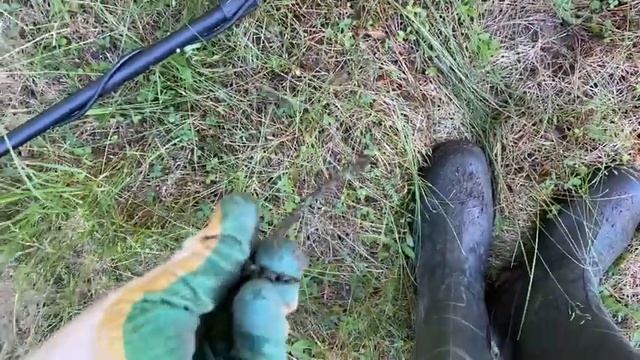 Вечерний коп на сон грядущий смотреть онлайн