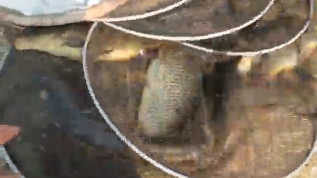 ПОВЕЗЛО смотреть онлайн