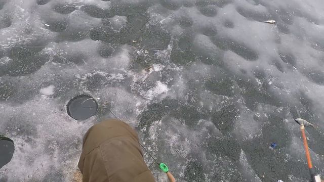 БЕЛОЯРКА ЧЕРЕМШАНА 28 03 23 ХОРОШИЙ КЛЕВ ЧЕБАКА И ОКУНЯ смотреть онлайн