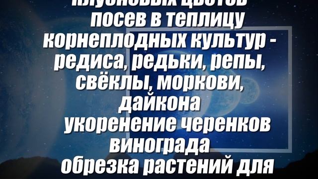 Лунный посевной календарь садовода и огородника на январь 2022 года смотреть онлайн