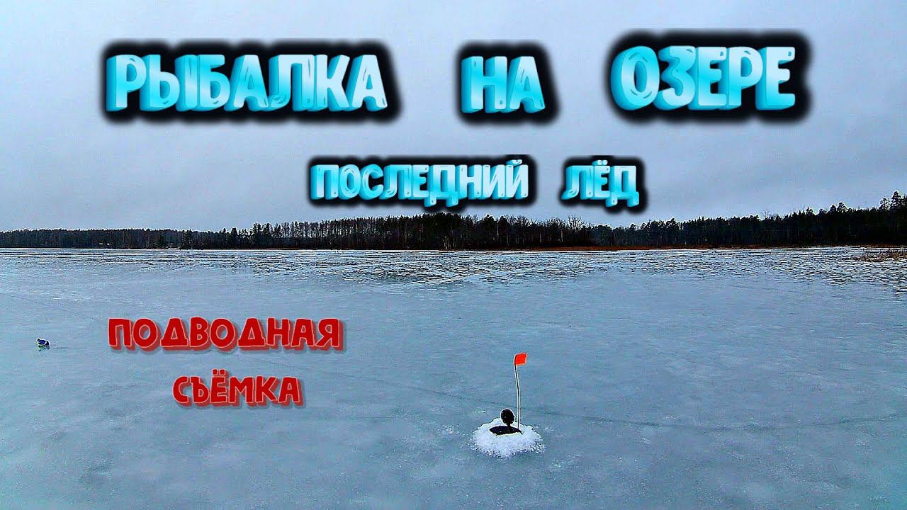 ✔️ Расставил жерлицы на озере Подводная съёмка смотреть онлайн