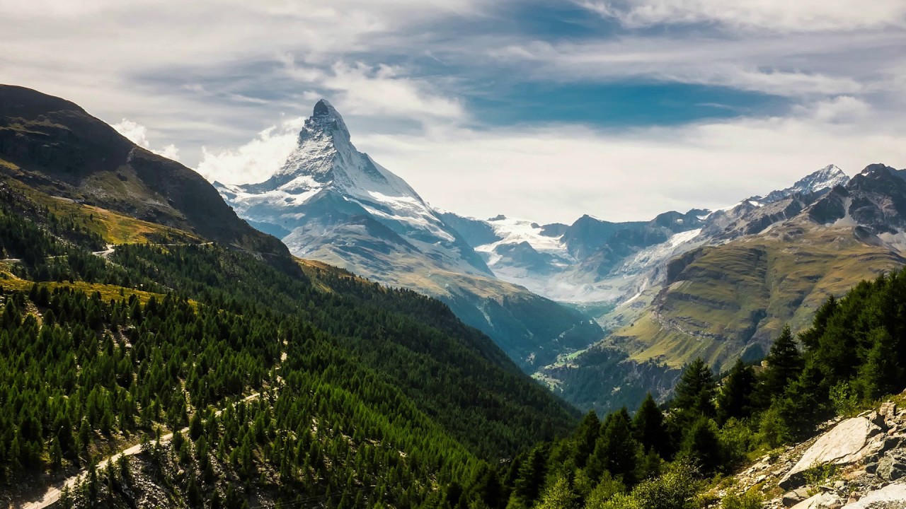 Разумное Человечество