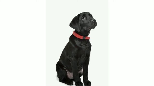 Сказки на ночь от доброй Феи. "Злая вода" М.А.Андрианов смотреть онлайн