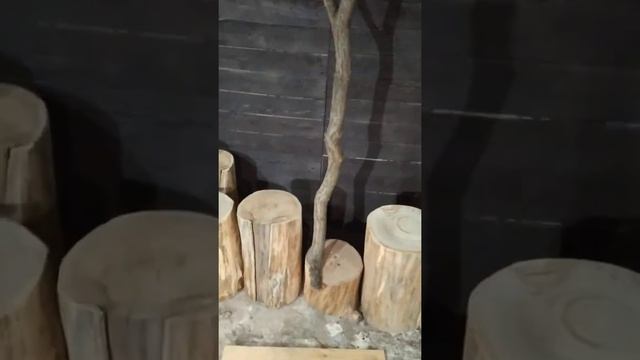 Ветка дуба с корой смотреть онлайн