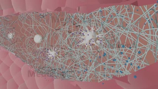 Свёртывающая и  антисвертывающая система крови