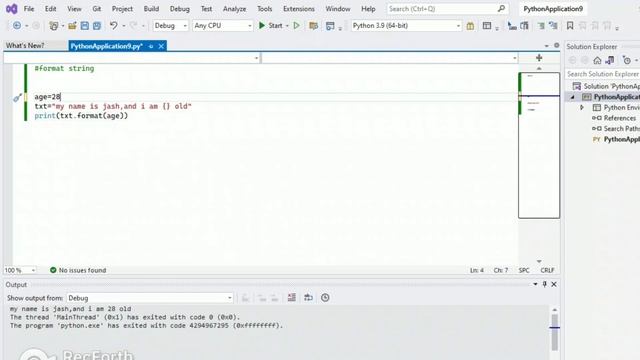 format string in python with simple program example смотреть онлайн