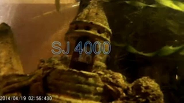 Тест под водой Sjcam sj4000 wifi смотреть онлайн