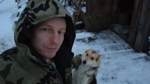 ОТШЕЛЬНИК ДЕДУШКА 84 ГОДА ЖИВЕТ В ТАЙГЕ!!! #shots #тайга #жизньвтайге #смотри #отшельник