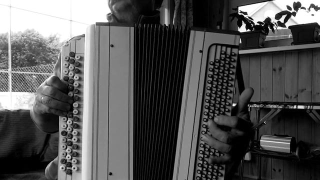 A Whiter Shade Of Pale - Procol Harum - Russian accordion (на баяне) смотреть онлайн