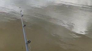 Рыбалка на поплавок: ЛОВЛЯ ФОРЕЛИ И ОСЕТРА!