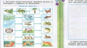 Окружающий мир. Рабочая тетрадь 3 класс 1 часть. ГДЗ стр. 59 №3
