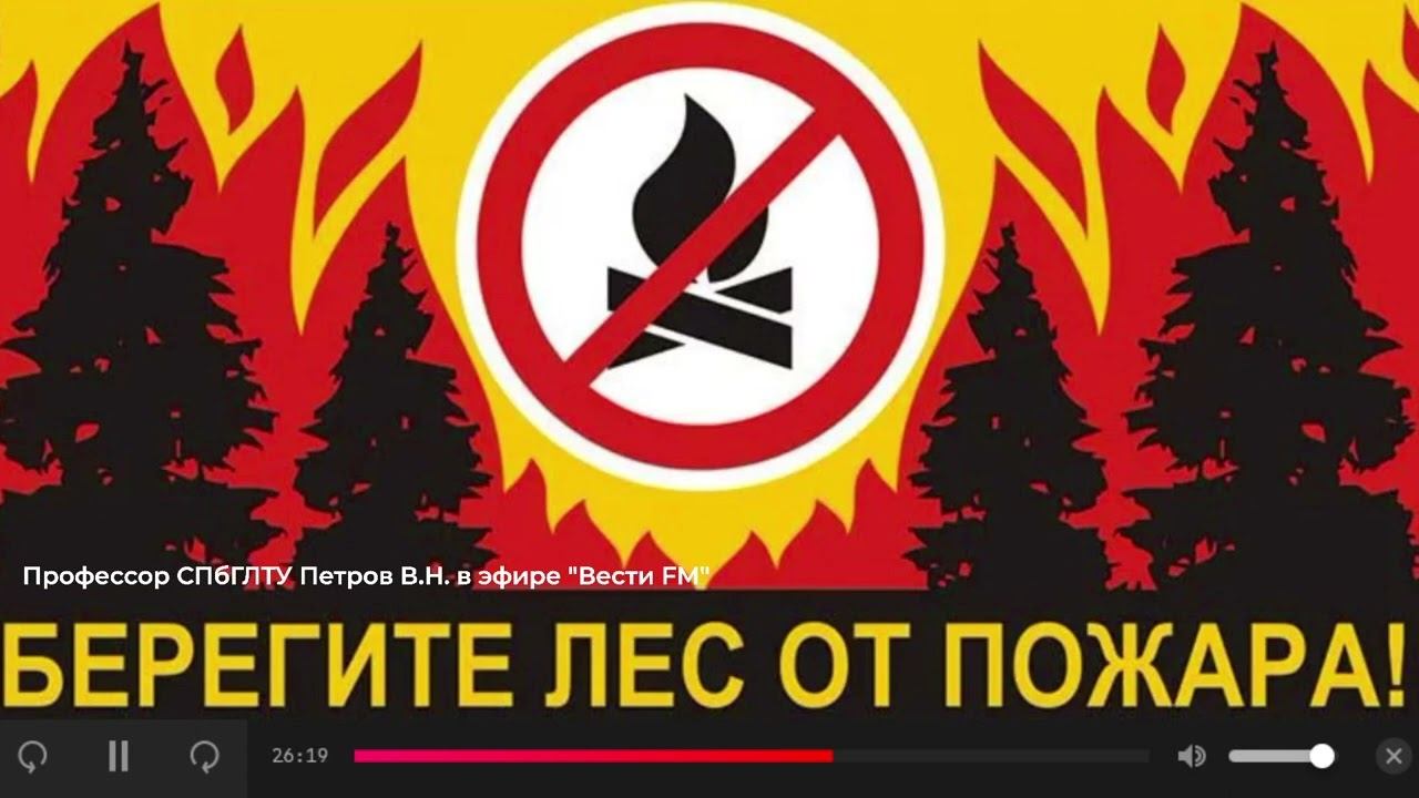 Профессор СПбГЛТУ В.Н. Петров про охрану лесов и лесные пожары, лесное хозяйство и лесную политику смотреть онлайн