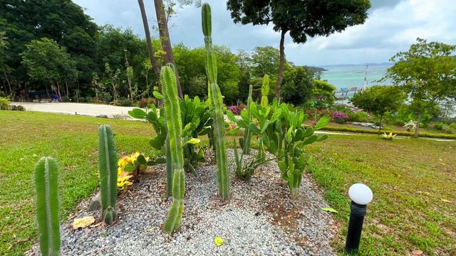 Катаемся на машине по Острову Пхукет и изучаем смотровые площадки смотреть онлайн