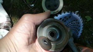 16.06.22.Как поменять на тримере катушку на диск☝️+79241232444 Стороженко Владимир