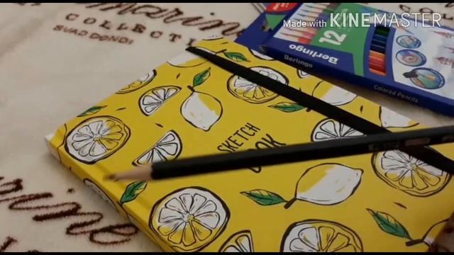 Рисую в новом скетчбуке! Буду ли я снимать видео с лицом?! смотреть онлайн