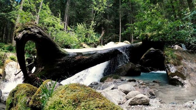 Релакс на природе возле быстрой горной реки, шум воды. Для сна, для релакса, для отдыха.