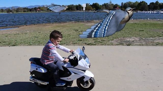 Детская Площадка для Детей в парке. Вова кормит животных и уток. смотреть онлайн