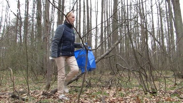 Как казанцы бегали за мусором. Плоггинг в Горкинско-Ометьевском лесу смотреть онлайн