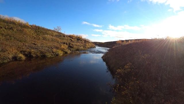 Ловля хариуса!речка Северная.Mepps vs хариус!Нарьян-Мар. смотреть онлайн