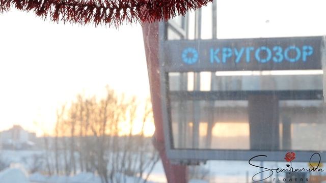 Необычное Свидание с Подарком - Роза в Колбе смотреть онлайн