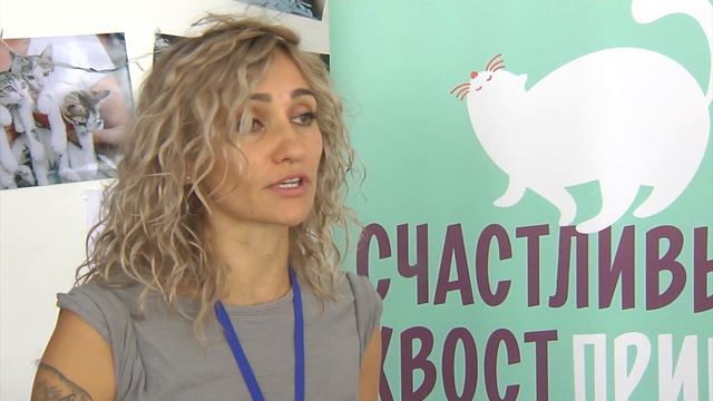 День рождения приюта для кошек Счастливый хвост смотреть онлайн
