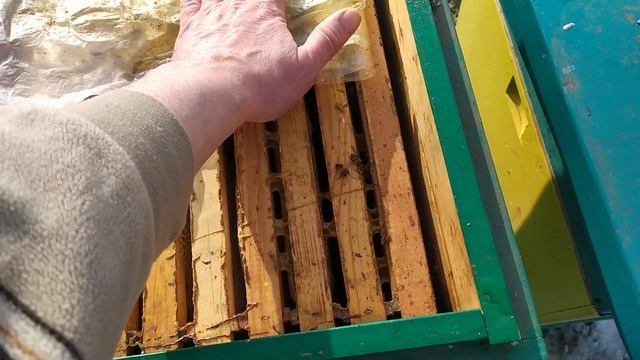 ОБЛЁТ? МЁД? РАСПЛОД? ЭКВАТОР ЗИМОВКИ ПЧЁЛ! смотреть онлайн