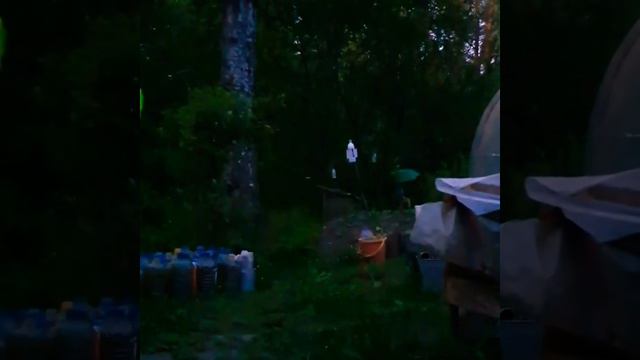 ЛЕТУЧИЕ МЫШИ НА ДАЧЕ!🦇СТАЛО ПЛОХО ОТ 35гр.🌡ЖАРЫ!😣 смотреть онлайн