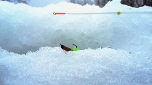 ЭТА безмотылка, РАБОТАЕТ ВЕЗДЕ! Рыбалка на окуня и плотву. Ловля зимой 2022