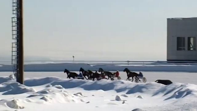 20.02.16 - 1 Заезд Приз в честь Дня защитника Отечества смотреть онлайн