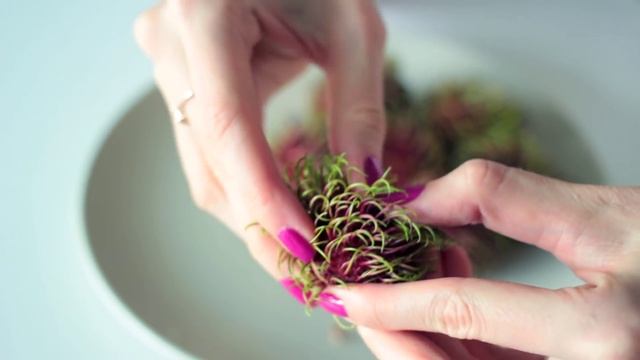 Фрукты Тайланда: Рамбутан | Фрукт недели смотреть онлайн