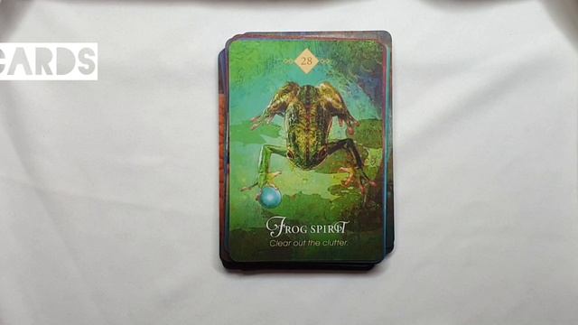 The Spirit Animal || Oracle Deck Review - Flipthrough *no talking* смотреть онлайн