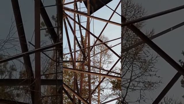 24 ЧАСА В ЛЕСУ, ОДНИ НА ВЫШКЕ.... ЧТО СЛУЧИЛОСЬ???? смотреть онлайн