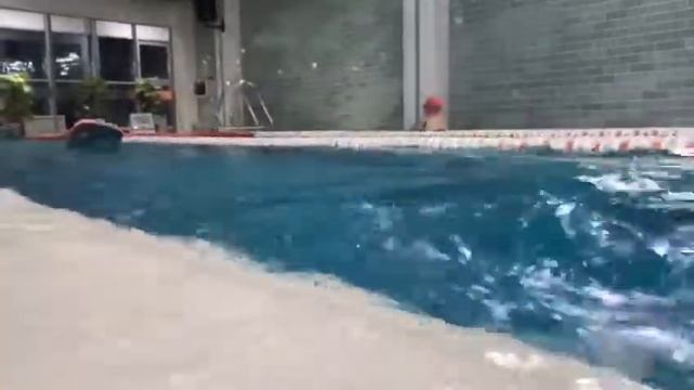 ШКОЛА ПЛАВАНИЯ ТФ смотреть онлайн