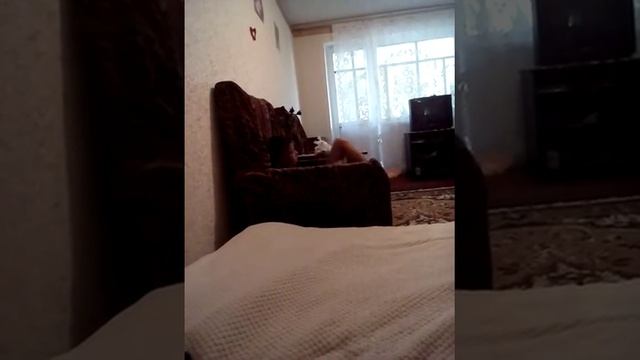 Пацанчик учит стих, ч 1 смотреть онлайн