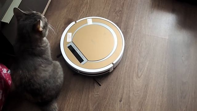 Отзыв о работе робота пылесоса ILIFE V55