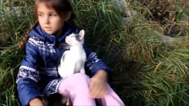 КОТЯТА и другие питомцы Лизы коты, кошки, собака, голубка, пауки и сверчки смотреть онлайн