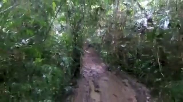 rimba 4x4 land rover cikereteg reversed смотреть онлайн