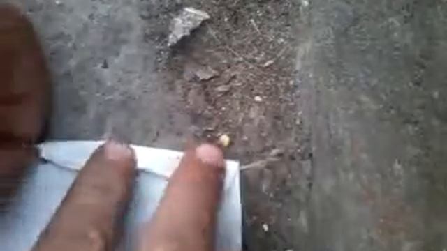 Как разжечь костер быстро и дешево смотреть онлайн