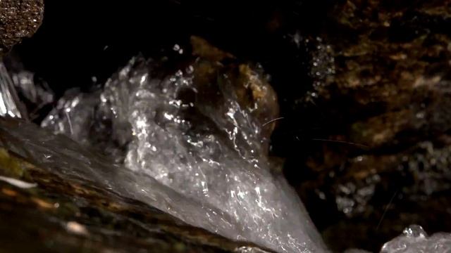 Høststemning (Sony PXW-X70) смотреть онлайн