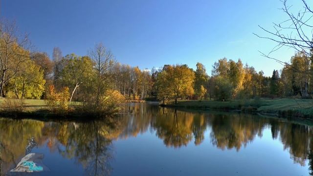 Осенний лист смотреть онлайн