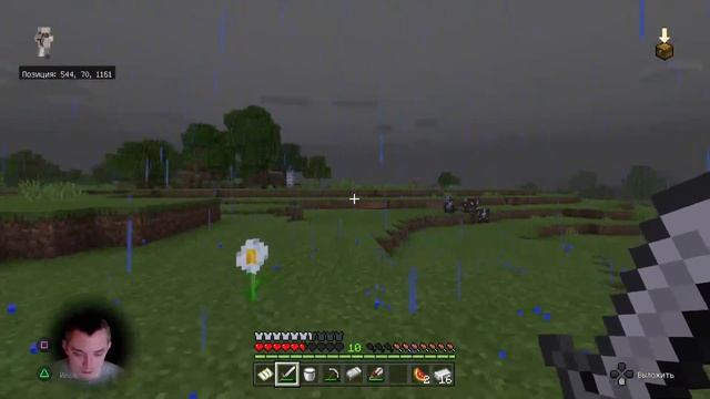 Minecraft, без мяса - ни одно животное не пострадает