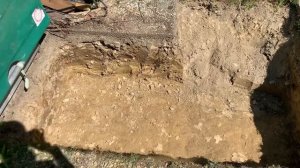 ПЕРЕСАЖИВАЕМ ВЗРОСЛУЮ ТУЮ