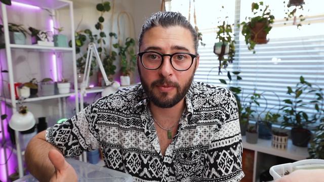 How I Propagate My Hoyas | Starting Hoyas From Cuttings