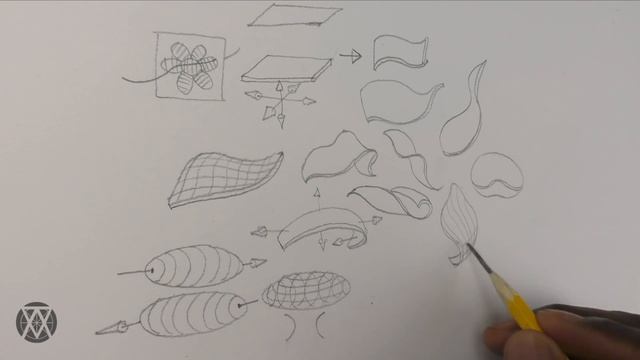 3 Tips on How to Shade Flowers | How to Draw Flowers Pt2 смотреть онлайн
