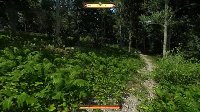 Kingdom Come: Deliverance - Bonum Commune