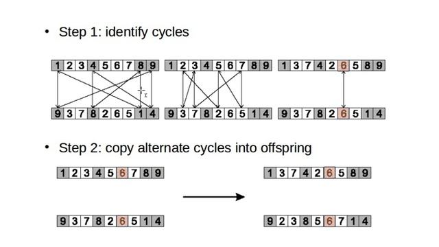 Genetic Algorithms 21/30: Cycle Crossover смотреть онлайн